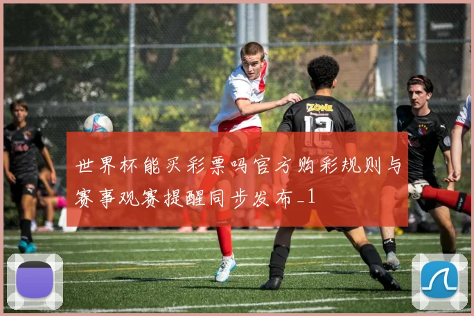 世界杯能买彩票吗官方购彩规则与赛事观赛提醒同步发布_1