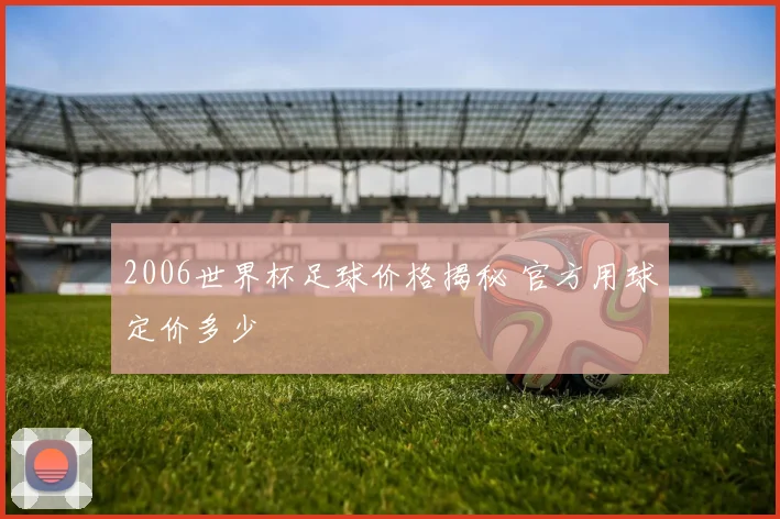 2006世界杯足球价格揭秘 官方用球定价多少