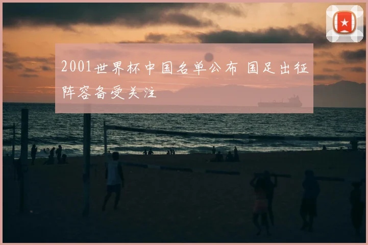 2001世界杯中国名单公布 国足出征阵容备受关注