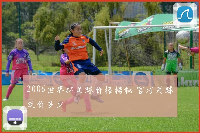 2006世界杯足球价格揭秘 官方用球定价多少