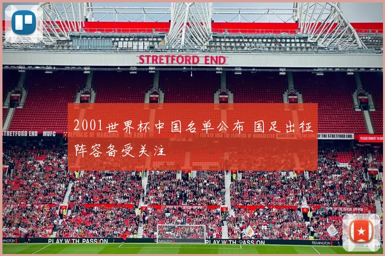 2001世界杯中国名单公布 国足出征阵容备受关注