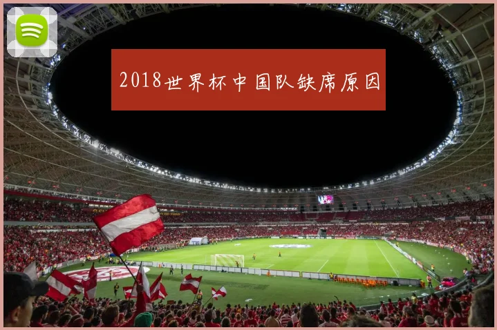 2018世界杯中国队缺席原因