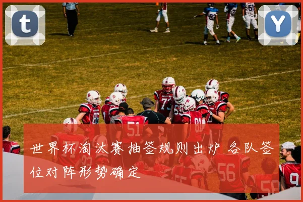 世界杯淘汰赛抽签规则出炉 各队签位对阵形势确定