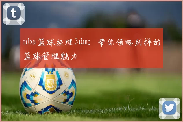 nba篮球经理3dm：带你领略别样的篮球管理魅力