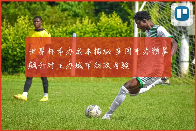 世界杯举办成本揭秘 多国申办预算飙升对主办城市财政考验