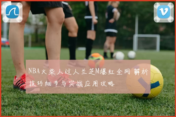 NBA火柴人过人兰芝M爆红全网 解析技巧细节与实战应用攻略